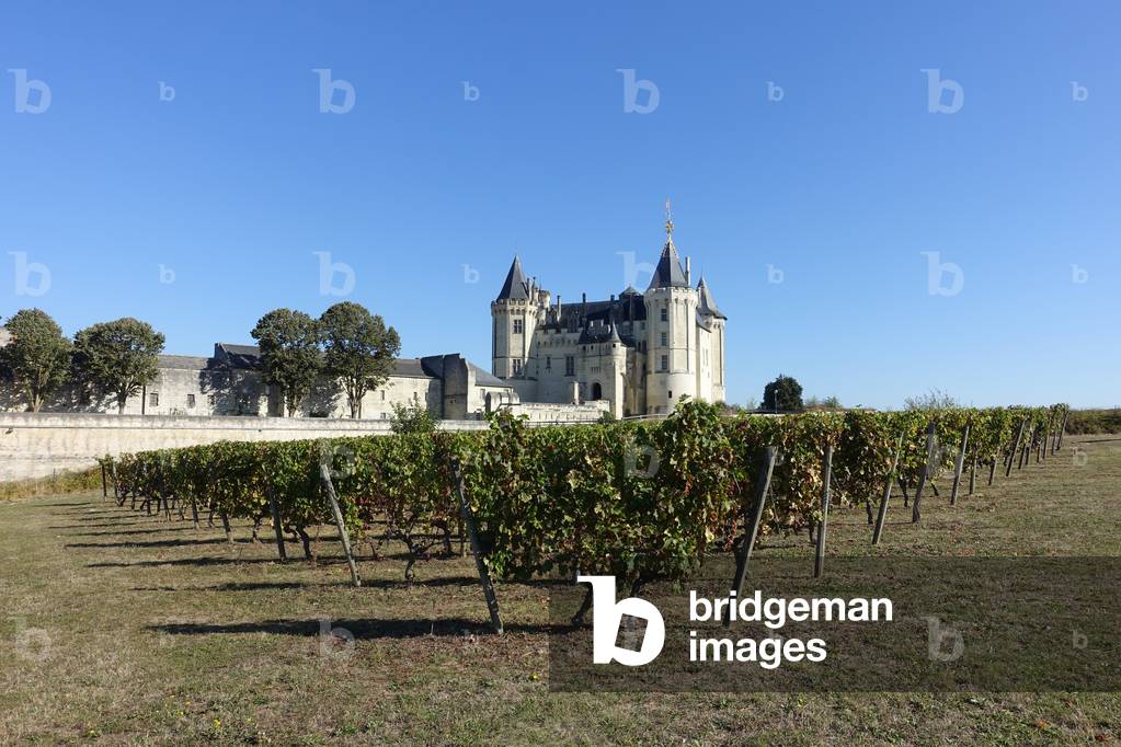 Saumur Castle in  Maine-et-Loire (49) (photo)