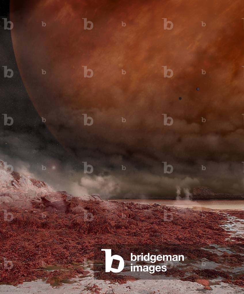 Artist's view of organisms living on the surface of a gas planet satellite