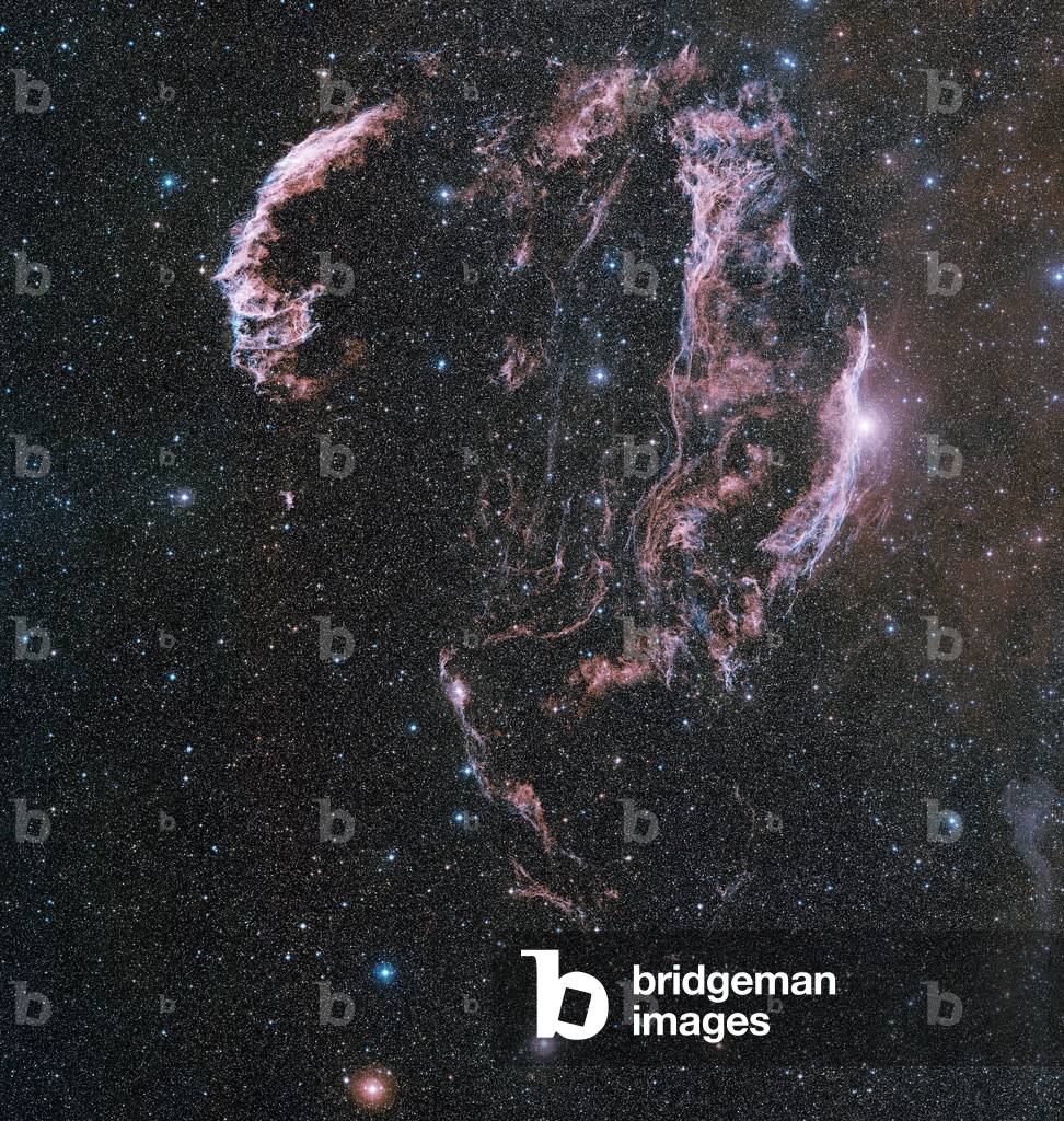 Remains of supernova located about 1400 light years ago in the constellation Swan. The supernova would have exploded less than 10,000 years ago. Image obtained by the Oschin telescope of Mount Palomar through several filters and composed - The Veil Nebula, also known as the Cygnus Loop, is a large supernova remnant, relatively faint supernova remnant in the constellation Cygnus. The source supernova exploded some 5000 to 8000 years ago. The distance to the nebula is not precisely known, with estimates ranging from 1400 to 2600 light years. It was discovered on 1784 September 5 by William Herschel. This image is based on data acquired by the Oschin Telescope at the Mount Palomar Observatory.: Les laces du Swan - The Veil nebula
