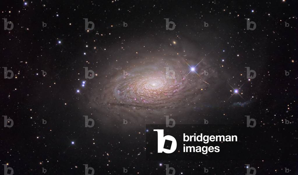 Spiral galaxy M63 (NGC 5055) in Hunting Dogs - Spiral galaxy M63 - The spiral galaxy M63 (NGC 5055) is about 35 million years away - light from Earth. Image obtained with a 50 cm telescope, composite of several poses. M63 (NGC 5055) is a spiral glaxy in the contellation Canes Venatici at about 35 million light - years from Earth