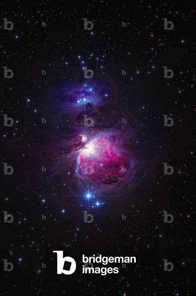 The Orion Nebula, 2020 (photo)