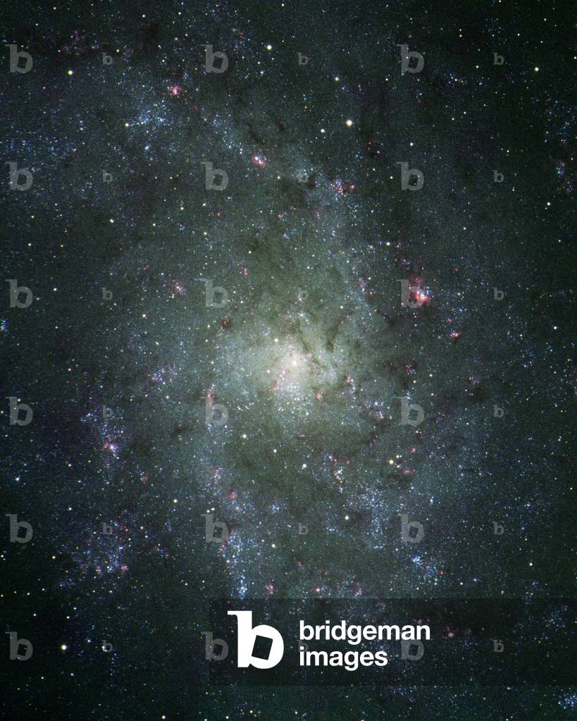 Spiral galaxy M33 in the Triangle - Spiral galaxy M33 in Triangulum - M33, the galaxy of the Triangle is located about 2 million years from Earth. It belongs to the local group, just like our galaxy or Andromede galaxy. In red, star-forming regions appear. Image obtained from the Isaac Newton telescope of La Palma. M33 is a large, almost face - on spiral galaxy about 2.5 million light years distant in the northern constellation of Triangulum. It is a member of the 'Local Group' of galaxies, which is dominated by the Milky Way and M31. Like M31, M33 is approaching the Milky Way at a velocity of about 180km/s. Although the total light M33 galaxy is that of a star of magnitude 5.3, its large diameter makes it hard to see. However, despite its low surface brightness, this galaxy was among the first to be identified as a 'spiral nebula' by Lord Rosse in the 1840s. On shorter exposures, the nucleus appears very bright and almost stellar, like that in its southern cousin, NGC 300