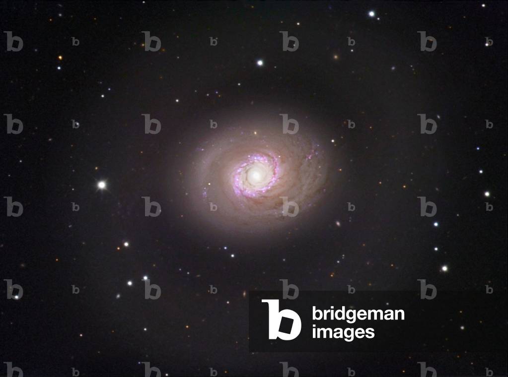 Spiral Galaxy M94 in Hunting Dogs - Spiral galaxy M94 in Canes Venatici - The spiral galaxy M94 (NGC 4736) is located about 15 million years ago - light from Earth. The M94 spiral galaxy was classified as Sab because of the extreme luminosite of its central region. This galaxy has several ring zones of star formation, one of which is very active. M94 is a spiral galaxy located 15 million light - year away. Several active regions of star formation have been identified there