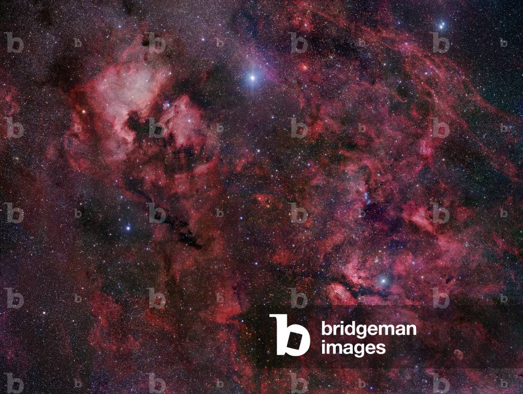 Region in the constellation of Swan with in the high center the supergiant star Deneb. Numerous clusters of stars and nebulae are visible. Mosaic of 20 images covering a field of 12 degrees - The 20 frame mosaic spans an impressive 12 degrees across the northern end of Cygnus constellation. Several star clusters and nebulas are visible. Top middle is the bright supergiant star Deneb: Mosaique de la région nord du Swan - Northern Cygnus mosaic