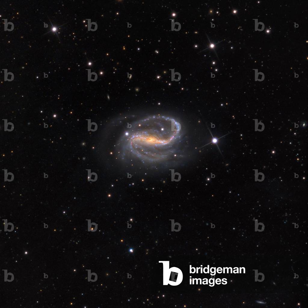Barree spiral galaxy NGC 7479 in Pegase - Barred spiral galaxy NGC 7479 in Pegasus - Its distance is estimated to be about 105 million light years away