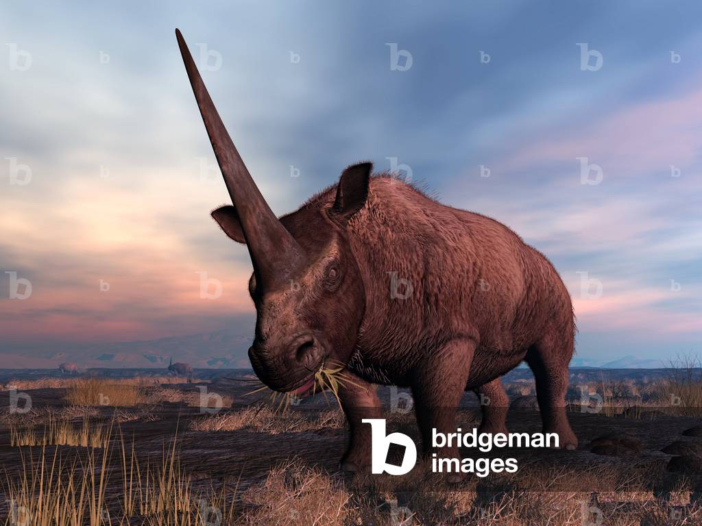 Elasmotherium - Artist's view of an Elasmotherium in the steppe. This gigantic Eurasian herbivorous mammal lived about 1 million years ago. An Elasmotherium on the ancient steppe of what is today Southern Russia. Characterized by a single massive horn (up to 6 feet long), Elasmotherium was a giant herbivorous mammal active in Eurasia about 1 million years ago. Related to modern rhinos, Elasmotherium was more massive, standing about 8 feet tall at the shoulder and up to 26 feet long and weighing over 3 tons