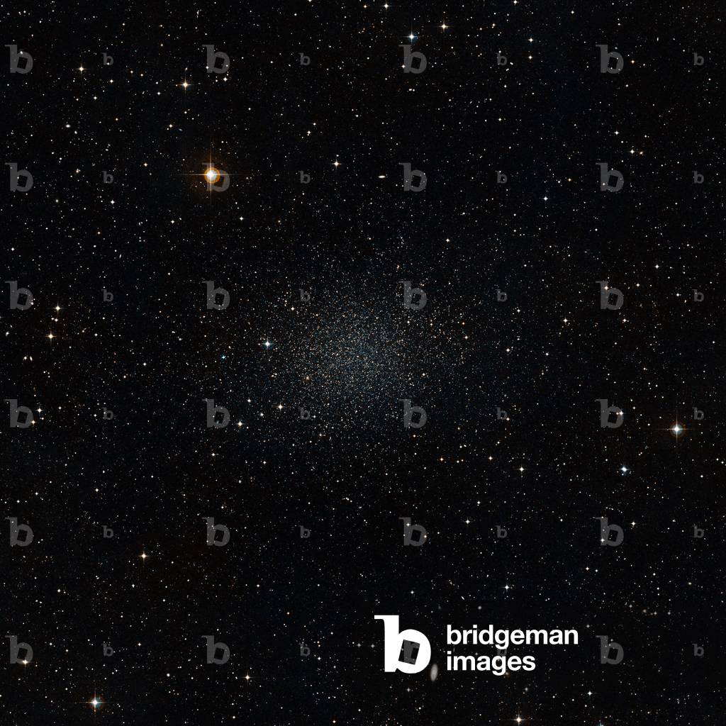 Sculptor's Dwarf Galaxy - Sculptor dwarf galaxy - The Sculptor's dwarf galaxy belongs to the local group, just like our galaxy or the Andromede galaxy. The Sculptor dwarf galaxy is one of our Milky Way's neighbouring dwarf galaxies. The Milky Way is, like all large galaxies, thought to have formed from smaller galaxies in the early days of the Universe. These small galaxies should also contain many very old stars, just as the Milky Way does, and a team of astronomers has now shown that this is indeed the case. This image was composed from data from the Digitized Sky Survey 2