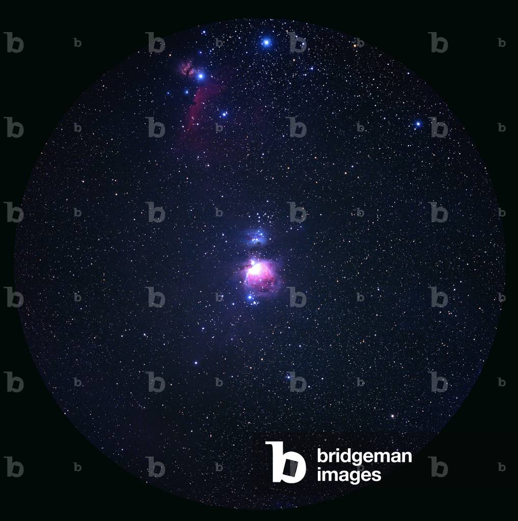 Nebulae of the horse's head and M42 in Orion. - Nebulae of the horse's head and M42 in Orion. At the top, the dark nebula of the horse's head (IC434 - B33). Below is the large Orion nebula (M42) vast star-forming region. These nebulae are located 1500 years of light from Earth