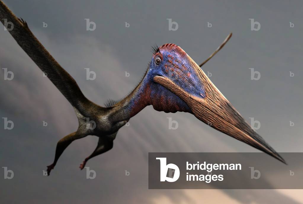 Image of Zhejiangopterus linhaiensis Dieser Pterosaurier war 5 Meter