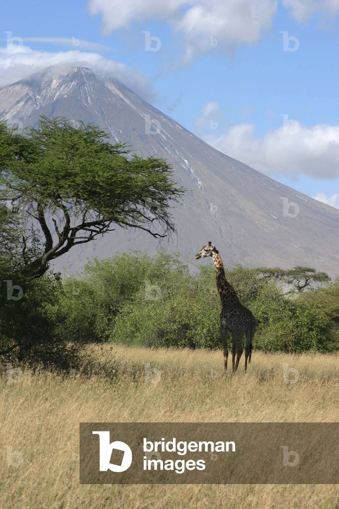 Ol Doinyo Lengai - Volcano Ol Doinyo Lengai - Ol Doinyo Lengai volcano is an active volcano located in Tanzania in the valley of the Great Rift. Ol Doinyo Lengai is the only volcano in the world to emit carbonatite. Volcano Ol Doinyo Lengai is an active volcano located in Tanzania in the great rift valley. It is the only known volcano producing carbonatite