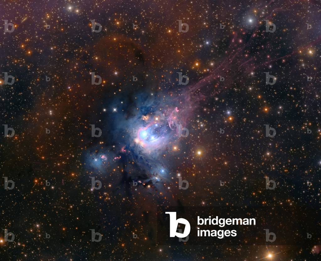 Nebula NGC 7129 in Cephee: Nebula by reflexion located 3300 light years from Earth. This nebula houses very young stars, aged less than a million years old. - NGC 7129 is a young compact star forming region which displays an unusual patchwork of colorful nebulosity and bright stars contrasted against the dust clouds of the Milky Way. NGC 7129 contains several bright reflection nebulae including the large blue reflection cloud NGC 7133 and the unusual small yellow reflection cloud LBN497. Also conspicuous in the field are several bright Herbig-Haro objects, the signatures of young stellar objects soon to emerge in the main sequence. The dominant blue reflection nebula, NGC 7133 is illuminated by two young B-type stars BD+65* 1637 and BD+65* 1638. Both stars are less than one million years old and represent the core of NGC 7129, a small cluster of low mass stars which populate the 36 light year wide cavity