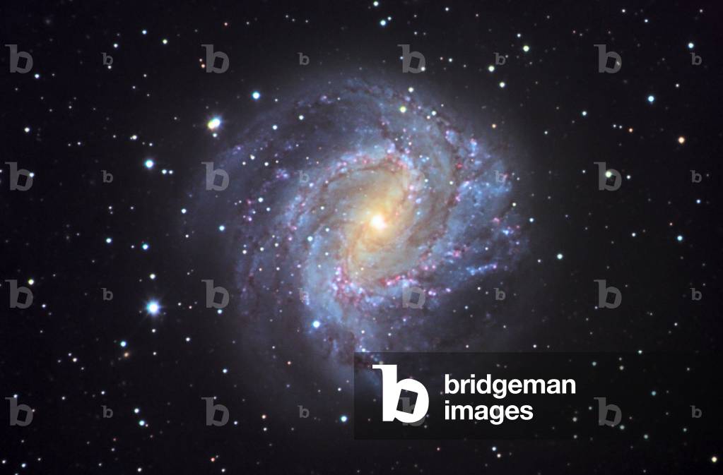 Spiral Galaxy M83 in Hydra - Spiral galaxy M83 in Hydra - The galaxy M83 (NGC 5236) is located about 15 million years away from Earth. This galaxy is intermediate between a classic spiral and a barree spiral. M83 (NGC 5236) is located in the southern constellation Hydra at 15 million light years from the sun. It is classified as intermediate between normal and barred spiral galaxies