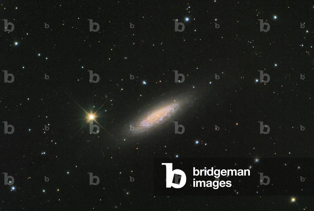 Spiral Galaxy NGC 6503 in the Dragon - Spiral galaxy NGC 6503 in Draco - The galaxy NGC 6503 is about 16 million years away - light from Earth