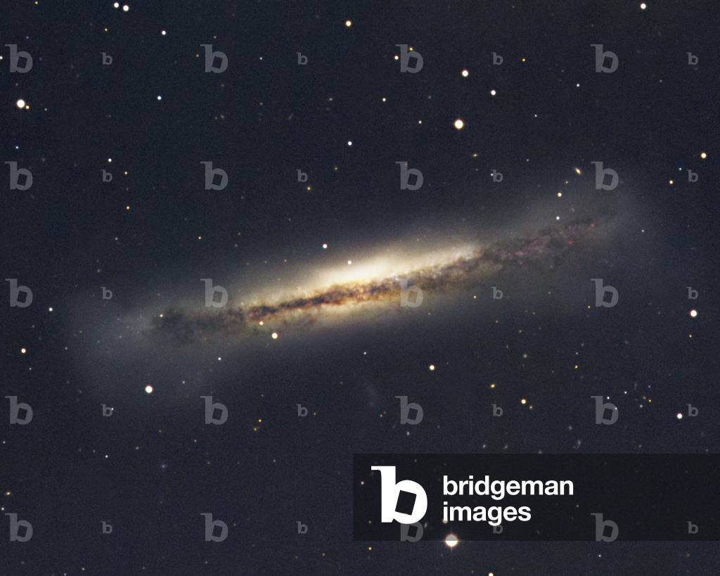 Spiral Galaxy NGC 3628 in the Lion - Spiral galaxy NGC 3628 in Leo - NGC 3628 is a spiral galaxy seen by the slice located at a distance of about 35 million years - light. With its neighbors M65 and M66, it forms a remarkable triplet of galaxies, called the Lion Triplet or the M66 Group. Image obtained with Siding Spring's 3.9m telescope. This picture has been specially enhanced to reveal NGC 3628, which is seen as an edge - on spiral galaxy, crossed by a dust lane. Galaxies seen edge - on are rare, but this example has other peculiarities. The dust lane is distinctly askew and the ends of the spiral arms are obviously puffed out, with evidence of star formation. The bright bulge of the galaxy also has an unusual 'peanut' shape. This suggests that the galaxies of the Leo group are interacting, gradually pulling each other apart as they orbit each other. Image obtained with the 3.9m telescope of Siding Spring