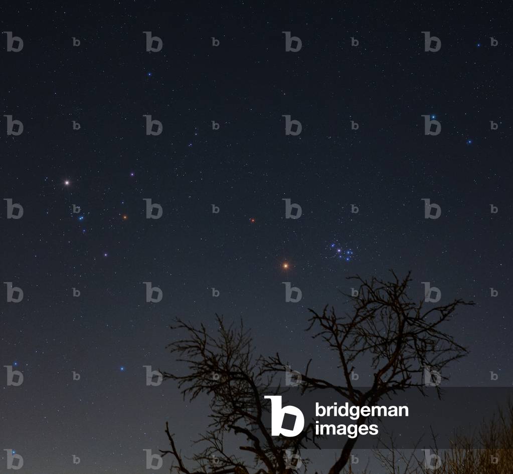 Mars in Taurus - March 2021 (photo)