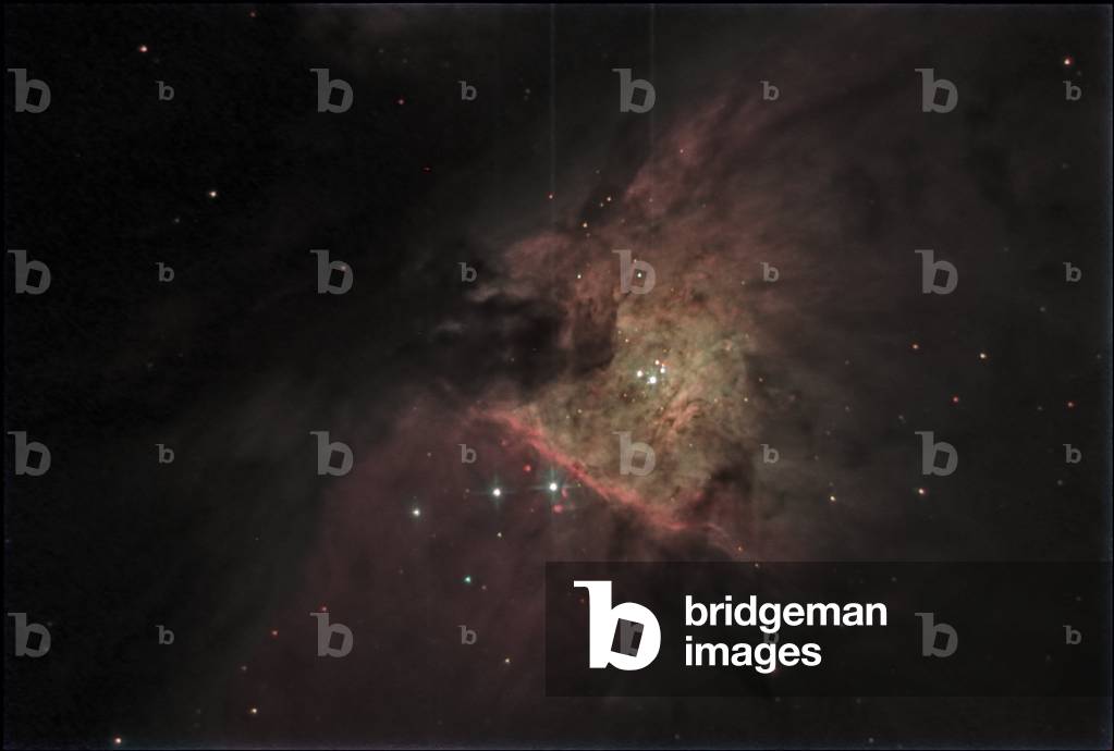 Orion Nebula - the trapper