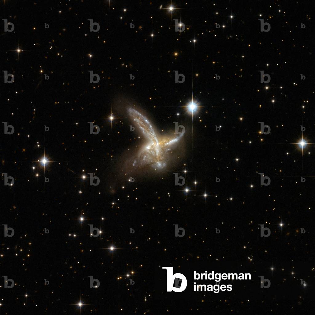 Interacting galaxies ESO 593 - 8 in Sagittarius - Interacting galaxies ESO 593 - 8 in Sagittarius - The galaxy ESO 593 - 8 is located about 650 million years away from Earth. It's a pair of interacting galaxies that will probably merge into a single galaxy. Regions of intense star formations appear in blue. Image obtained by the Hubble Space Telescope on 19 March 2002. ESO 593 - 8 is an impressive pair of interacting galaxies with a feather - like galaxy crossing a companion galaxy. The two components will probably merge to form a single galaxy in the future. The pair is adorned with a number of bright blue star clusters. ESO 593 - 8 is located in the constellation of Sagittarius, the Archer, some 650 million light - years away from Earth. Image taken by the Hubble space telescope on march 19, 2002