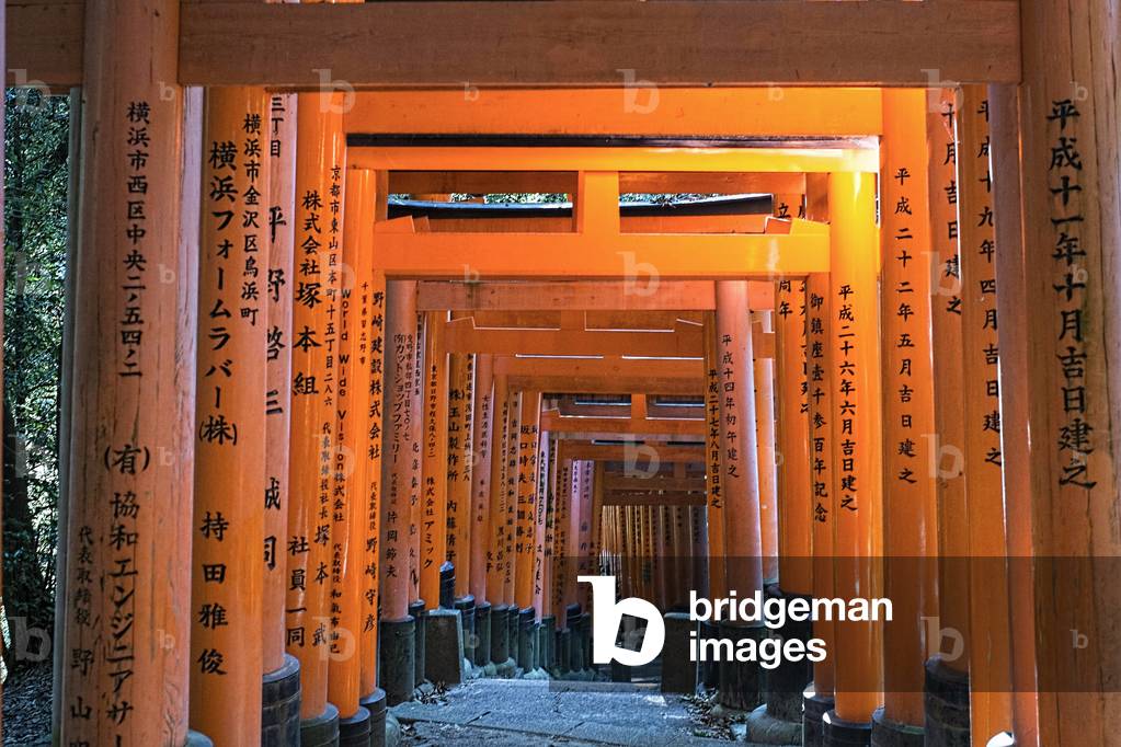 Torii at Fushimi Inari Shrine, Kyoto, Japan (photo)