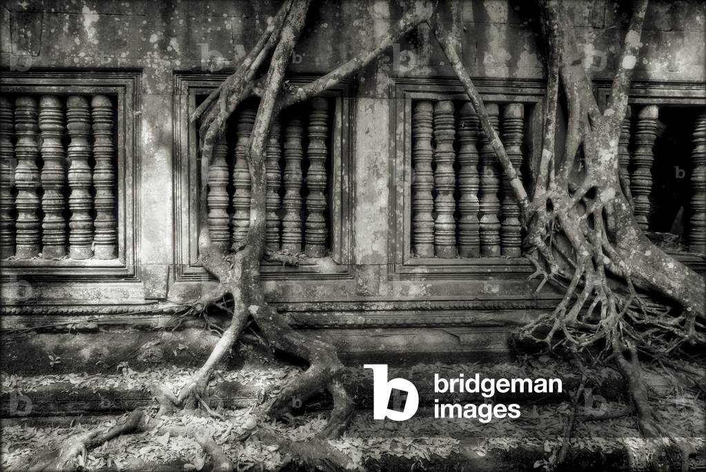 Colonette at the temple of Beng Mealea, Angkor, Cambodia (b/w photo)