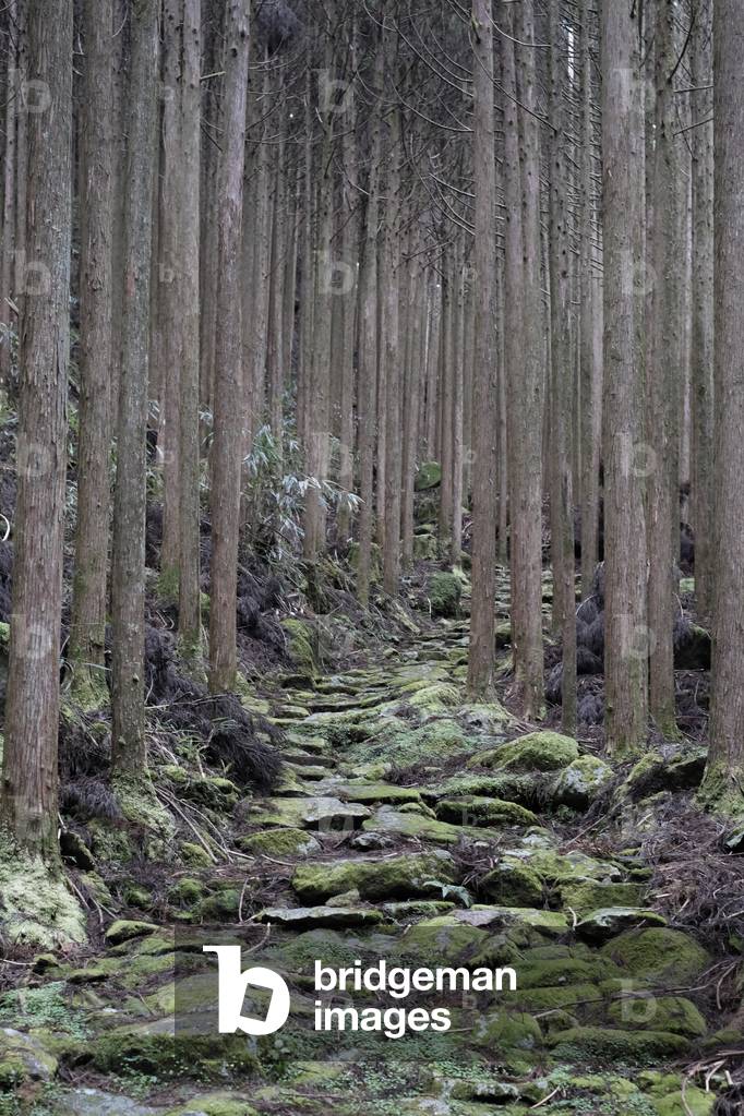 Kumano Kodo pilgrimage path (photo)