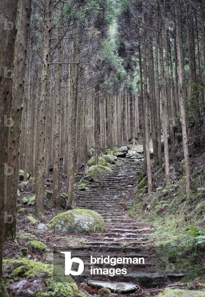 Kumano Kodo pilgrimage path, Japan (photo)