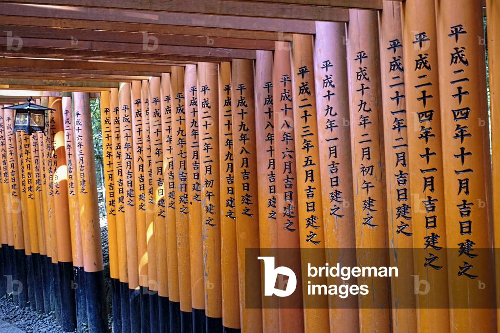 Torii at Fushimi Inari Shrine, Kyoto, Japan (photo)