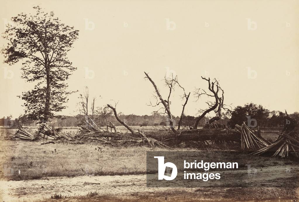 Extreme Line of Confederate Works, Cold Harbor., April 1865 (albumen print mounted on wove paper)