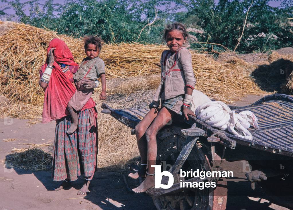 Rural scene, harvest, Rajasthan, India, 1971 (photo)
