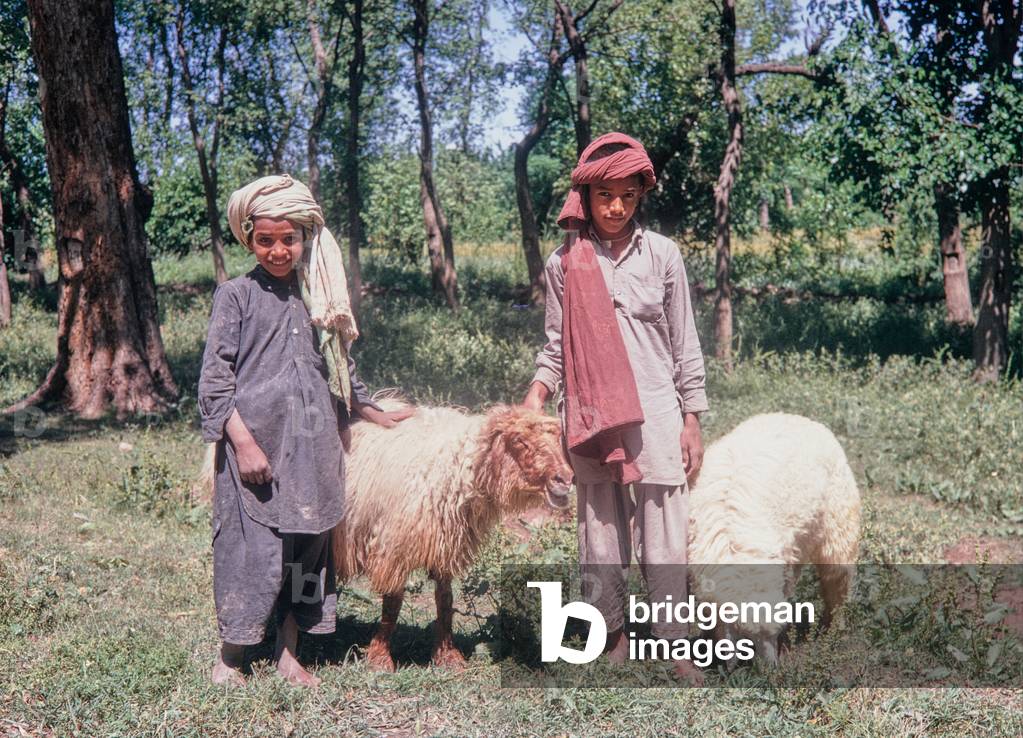 Sheep farmers, Rural Pakistan, 1969 (photo)