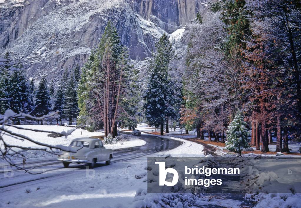 Yosemite National Park, California (photo)
