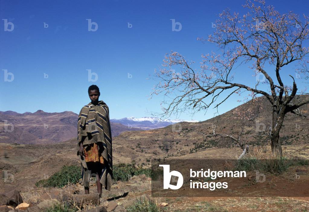 Herd boy in the Maluti Mountains, Lesotho (photo)