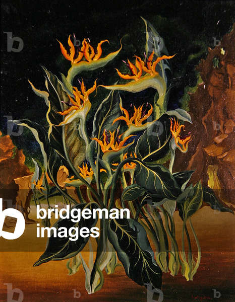 Strange Flowers (oil on canvas)