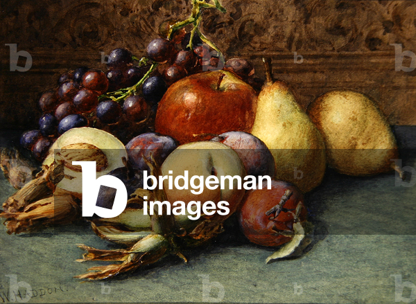 Stillleben von Früchten (w/c auf Papier)