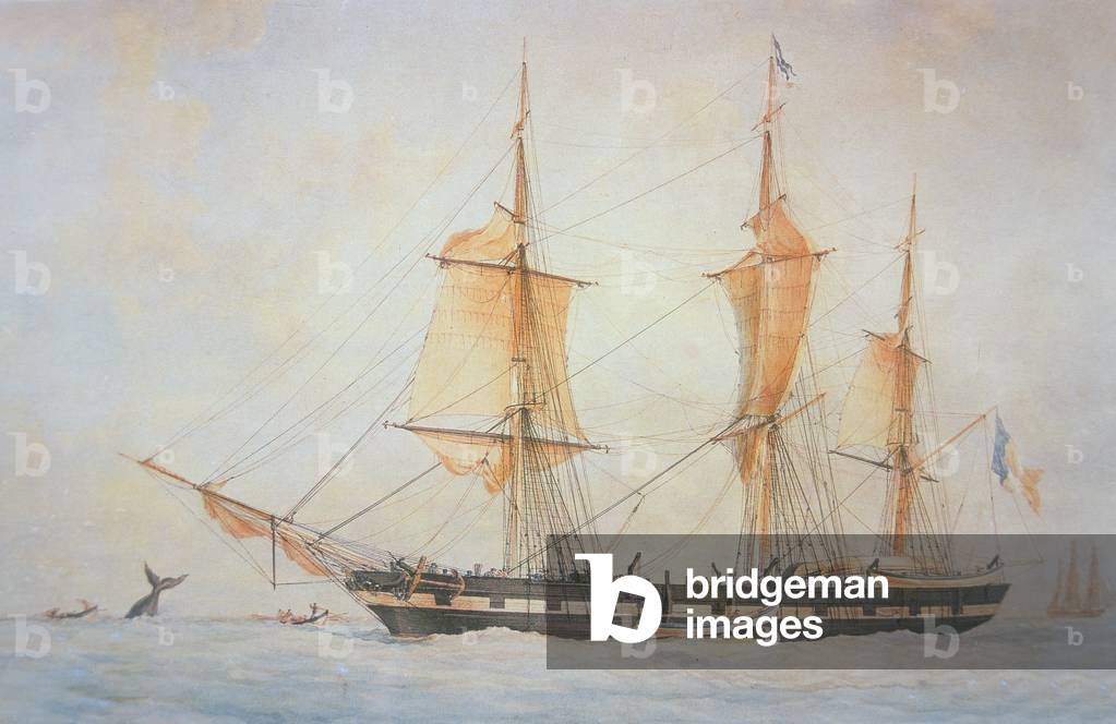 French Whaling Ship, c.1845 (colour litho)