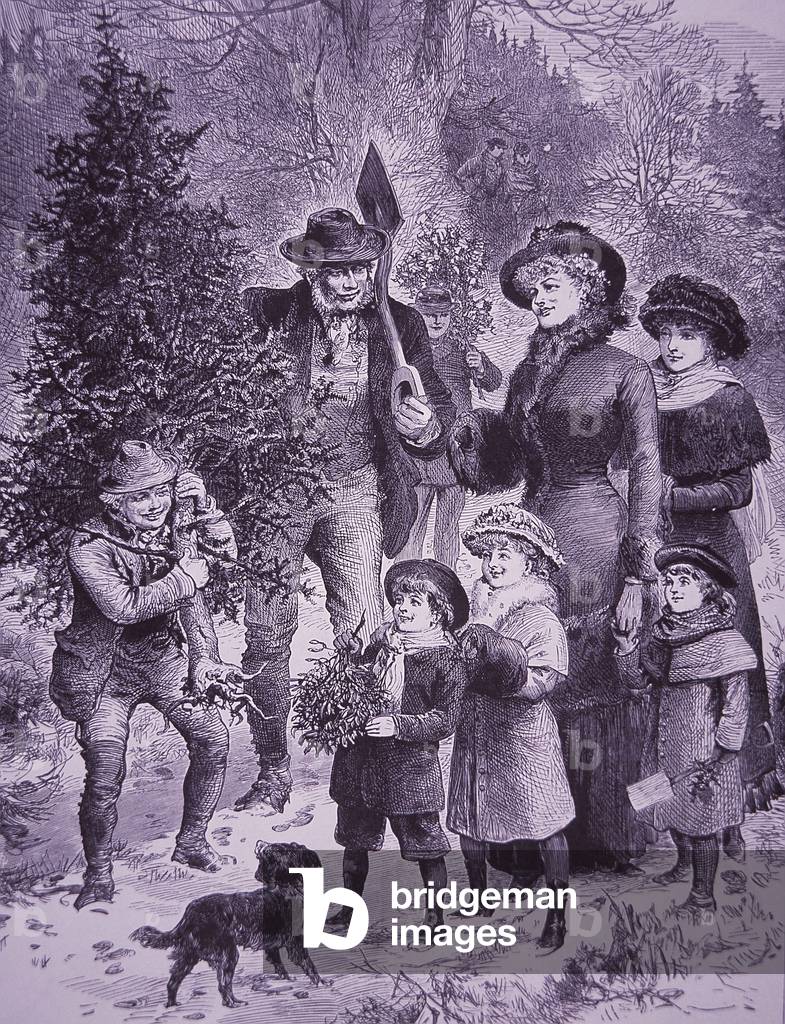 Christmas tree seller (engraving)