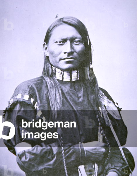 Bild von Fotografie "Red Panther", 1879 von American Photographer
