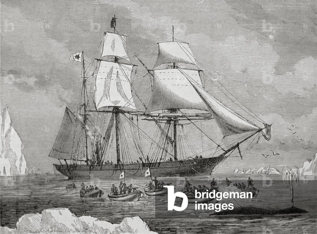 A whaler with boat fast to a 'fish' (with the gun harpoon), 1880s (engraving)