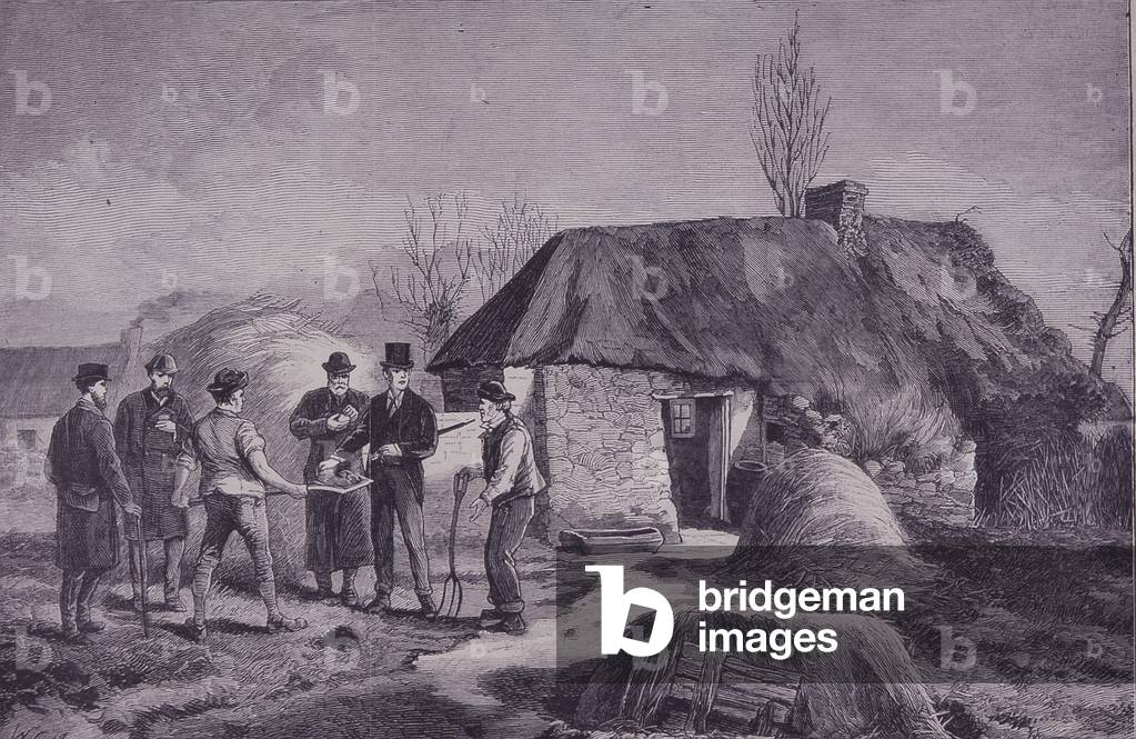 Land Commissioners inspecting Irish farm near Limerick in 1881 (wood engraving)