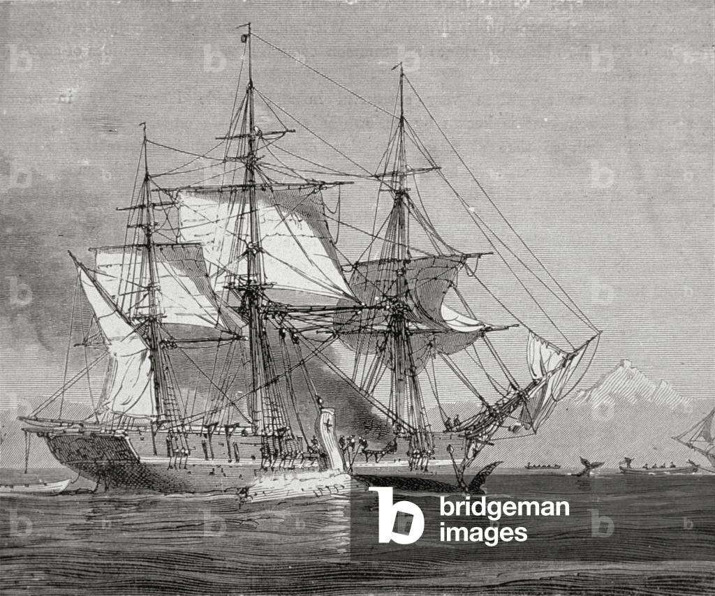 Whalers at Work, 1890s (engraving)