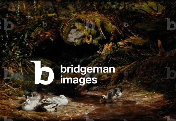 Ducks at the Spring Head, 1875 (oil on panel)