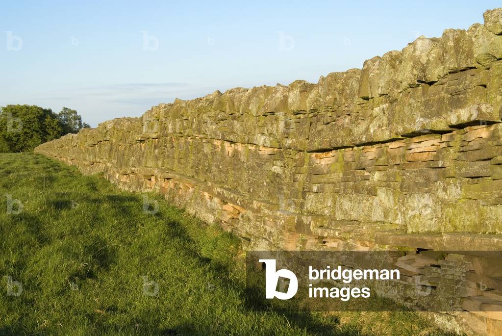 Exemplary dry stone wall, Harnham, Belsay, Northumberland, UK (photo)
