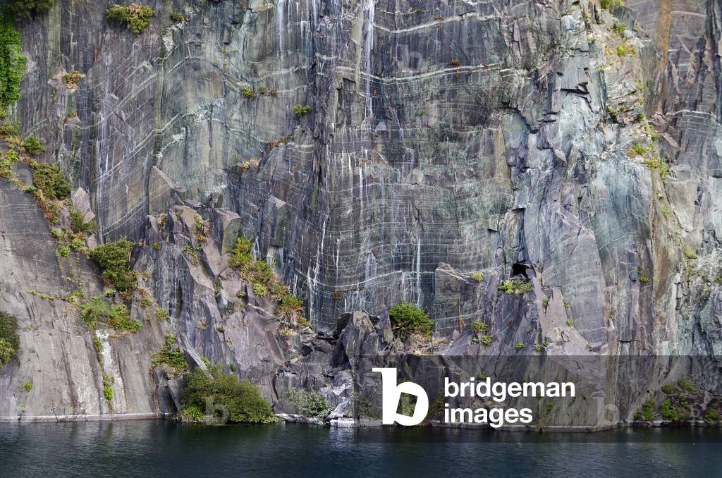 Slate Wall and Advancing Vegetation, Dorothea Quarry, between Nantlle & Talysarn
Snowdonia, Gwynedd, N.Wales, UK  (photo)