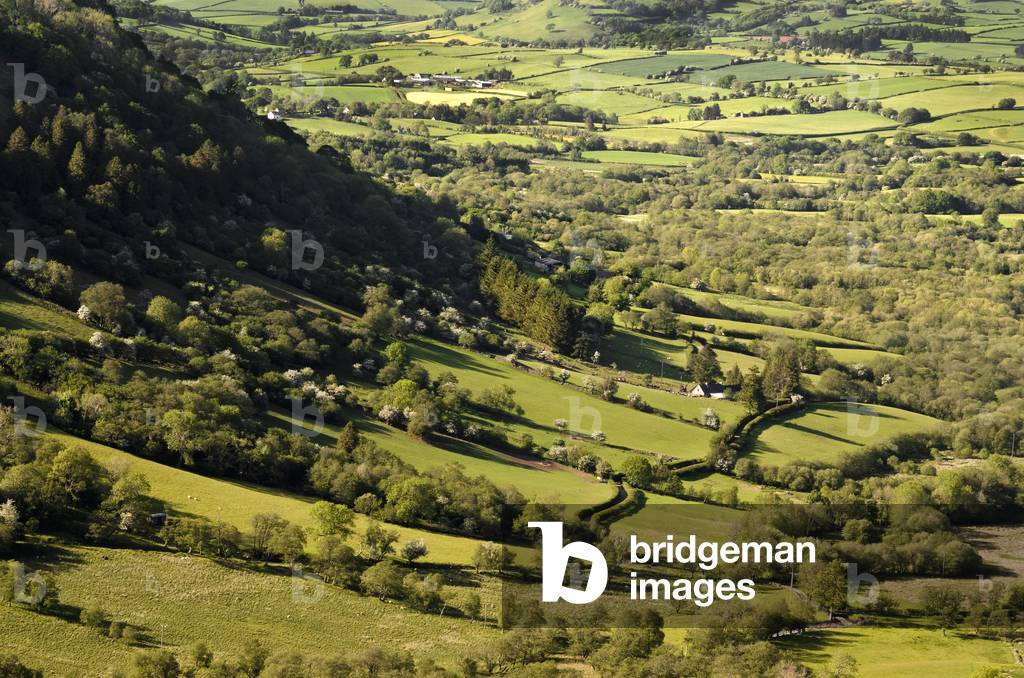 Pastoral Welsh farming landscape, Heol Senni, nr. Ystradfellte, Brecon Beacons National Park, Powys, South Wales, UK (photo)