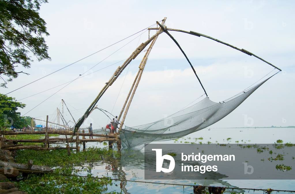 Fishermen operating Chinese fishing nets of Kochi (photo)