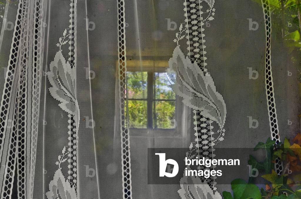 Old Lace Curtain With Leaf Pattern, Old Henllys, Gower, South Wales, UK (photo)