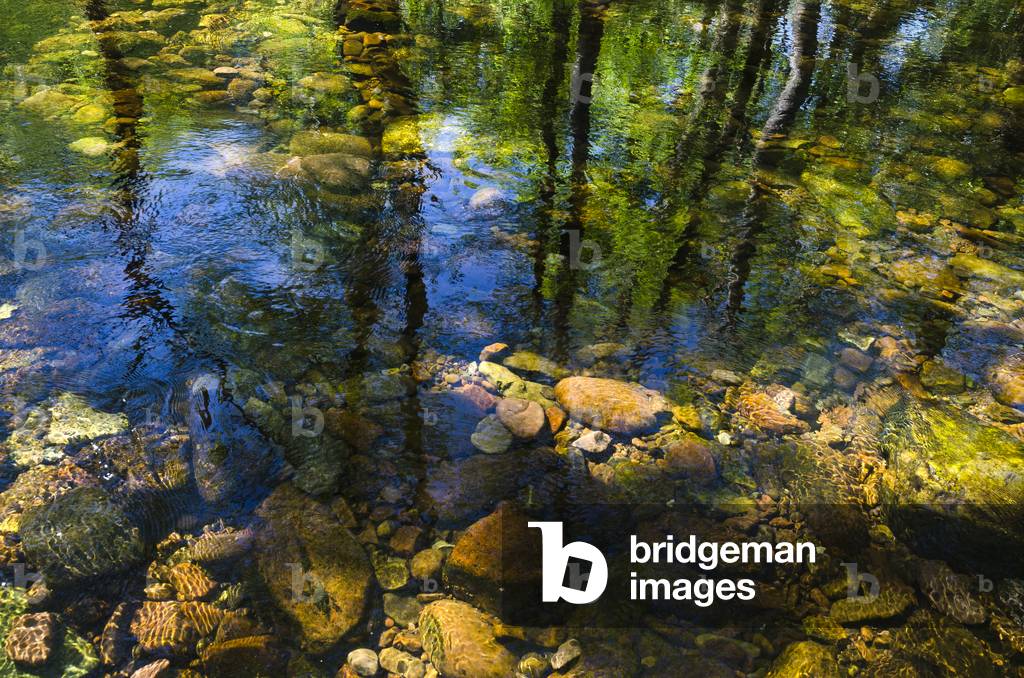 Woodland tree reflections in water flowing over stony riverbed, River Mellte, nr. Ystradfellte, Brecon Beacons National Park, Powys, South Wales, UK (photo)