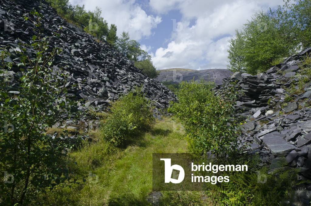 Track Through Slate Waste, Dorothea Quarry, between Nantlle & Talysarn
Snowdonia, Gwynedd, North Wales, UK (photo)