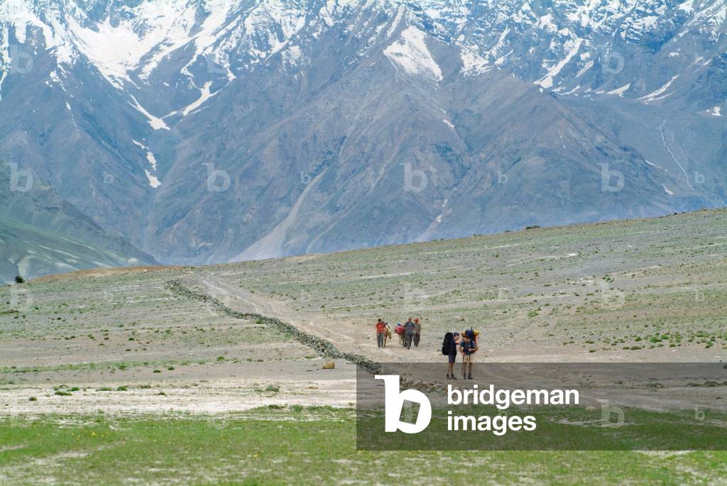 Ecotourists trekking on old Himalayan caravan route between Karsha and Pishu, Zanskar River Valley
Zanskar, (Ladakh), India (photo)