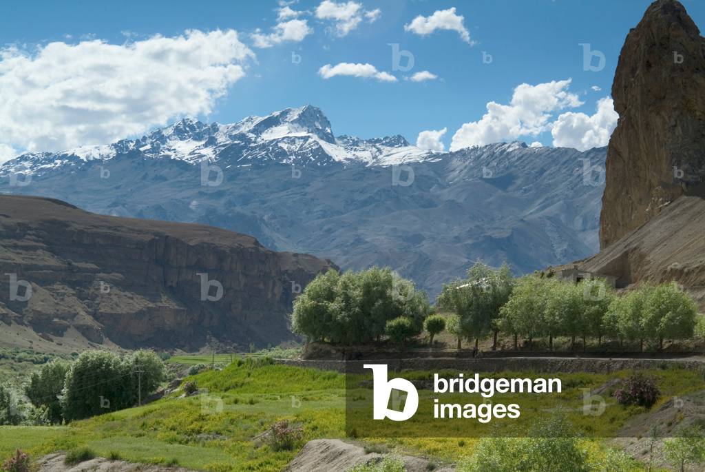Himalayan landscape: Willow-fringed road through green river valley (Wakh river), snowcapped Zanskar Range Mulbekh, Ladakh, Jammu and Kashmir, India (photo)