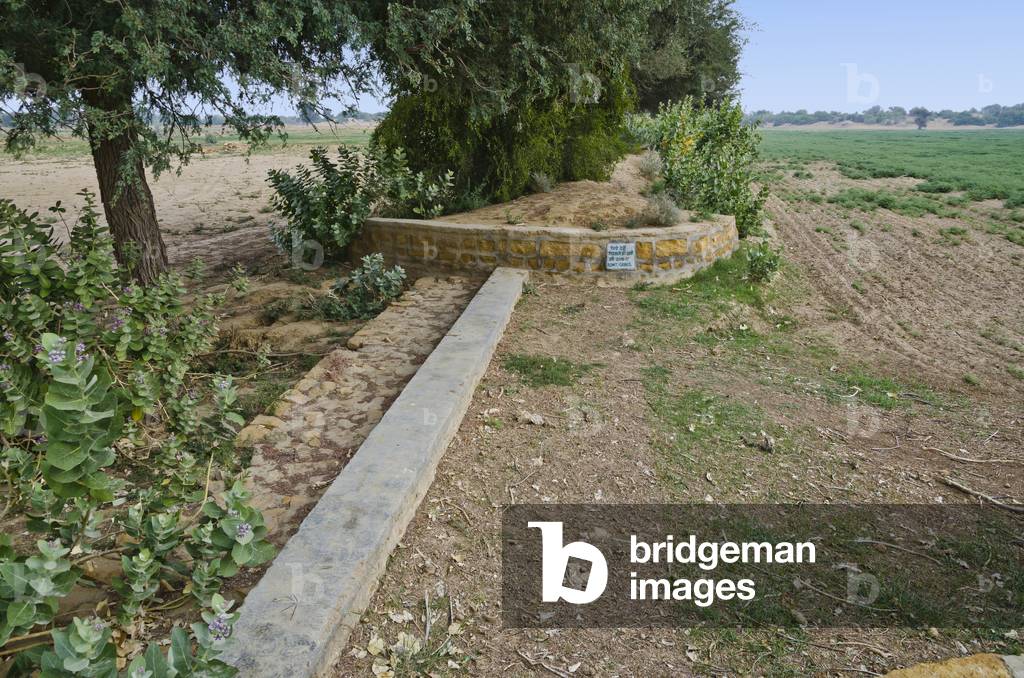 Desert agriculture & rainwater harvesting: Cemented overflow between two khadin fields, Thar Desert, Rajasthan, India (photo)